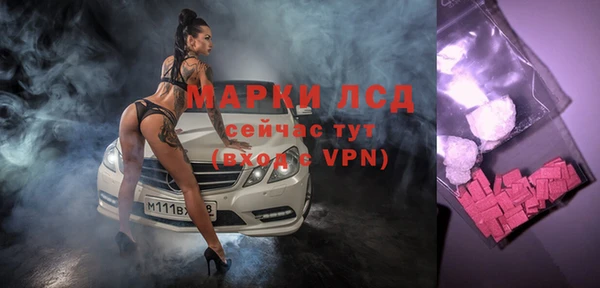 шишки Баксан