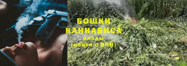 шишки Баксан