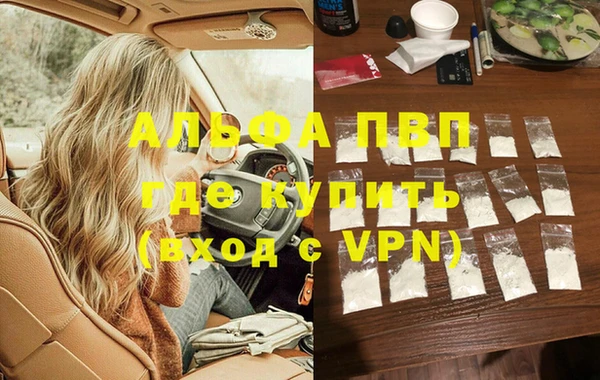 шишки Баксан