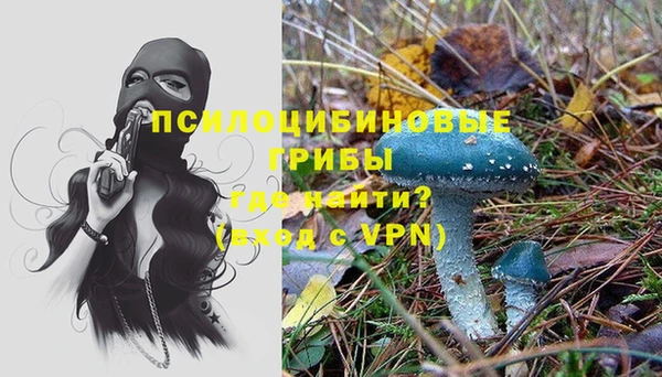 apvp Балабаново